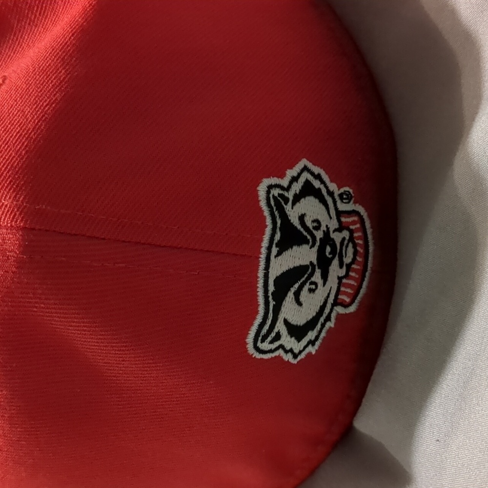 Wisconsin Badgers Top Of The World fitted hat - Picture 6 of 15
